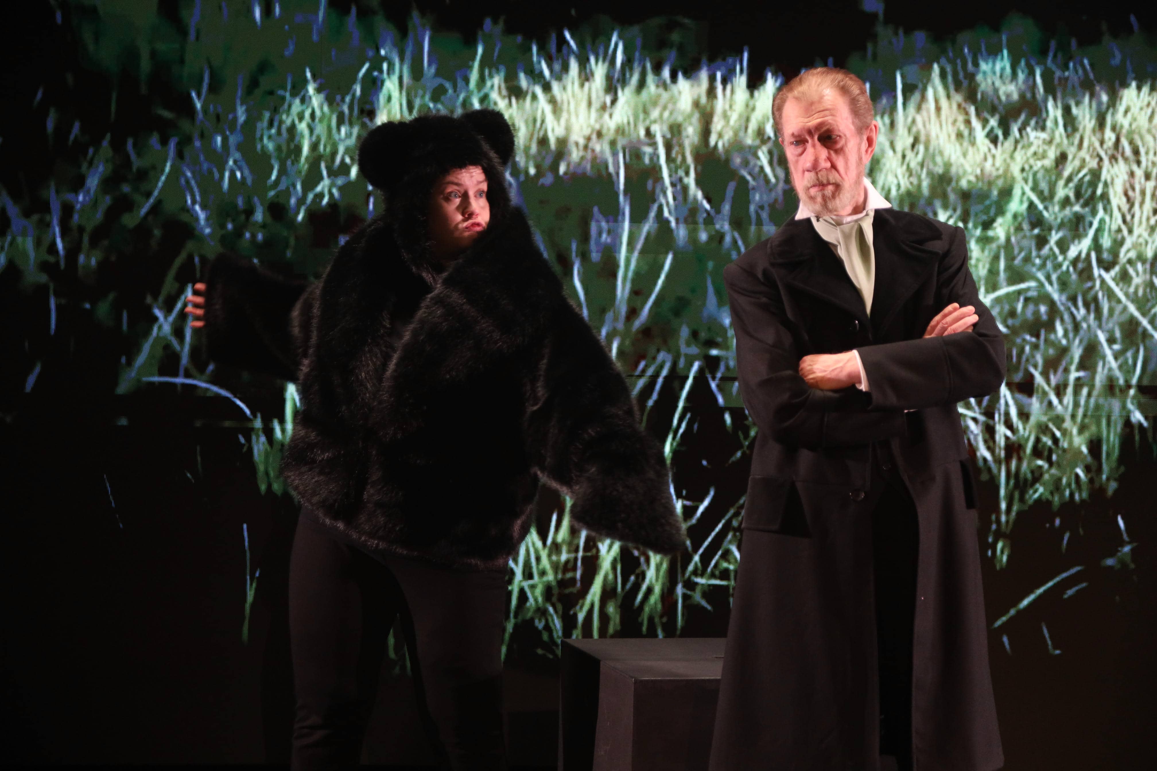 Сны Салтыкова-Щедрина